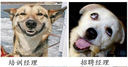 企業(yè)HR 人員表情圖  