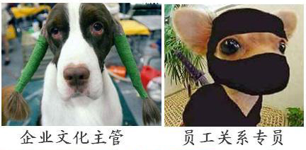 企業(yè)HR 人員表情圖  