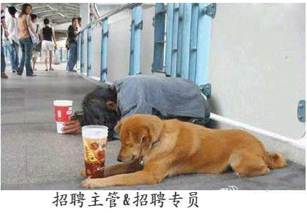 企業(yè)HR 人員表情圖  