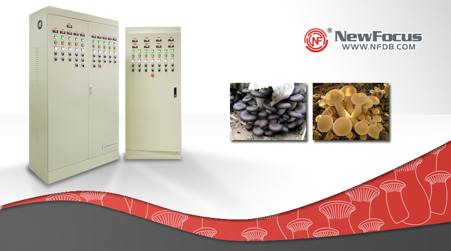 NewFocus成為食用菌工廠化培植自動控制系統(tǒng)的首選品牌