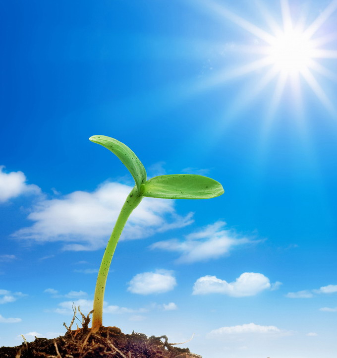 給我一點(diǎn)陽光還您一片生機(jī) 太倉人才網(wǎng)展望2016年