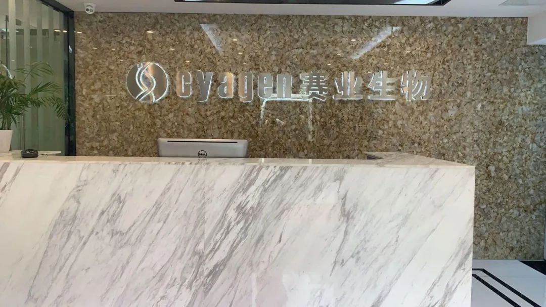 沙溪這家企業(yè)獲評“小巨人”