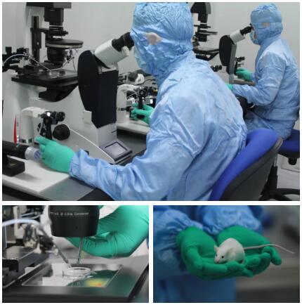 沙溪這家企業(yè)獲評“小巨人”