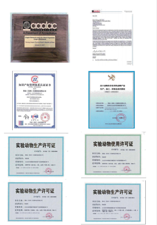 沙溪這家企業(yè)獲評“小巨人”